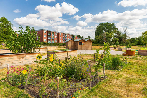 Das Bild zeigt den urbanen Garten in der Kornmersch