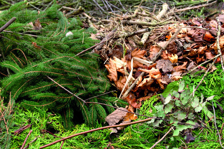 Grünabfall = Laub, Strauch-, Baum- und Rasenschnitt