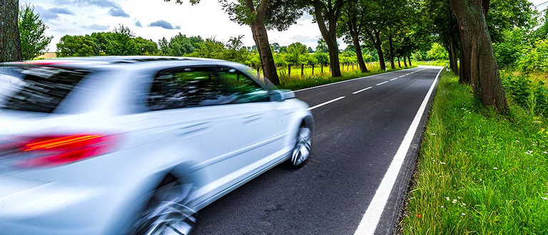 Auto fährt durch eine Allee