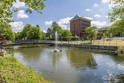 Uferbereiche des Altarms der Lippe im Nordring