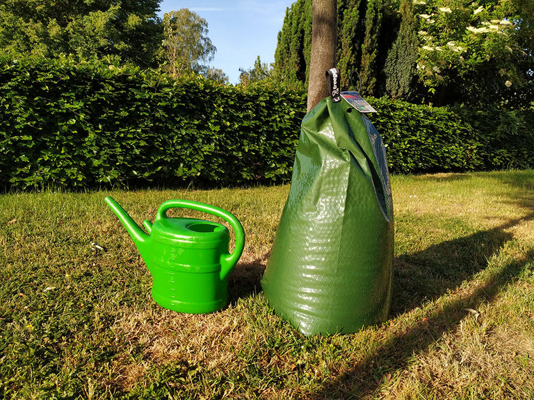 Ein gefüllter Wassersack an einem Baum