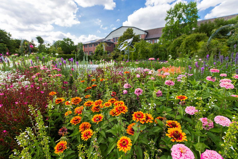 Sommer im Maximilianpark