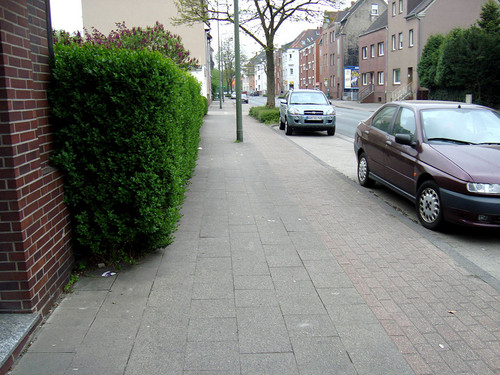 Eine Hecke ragt in den Gehweg.