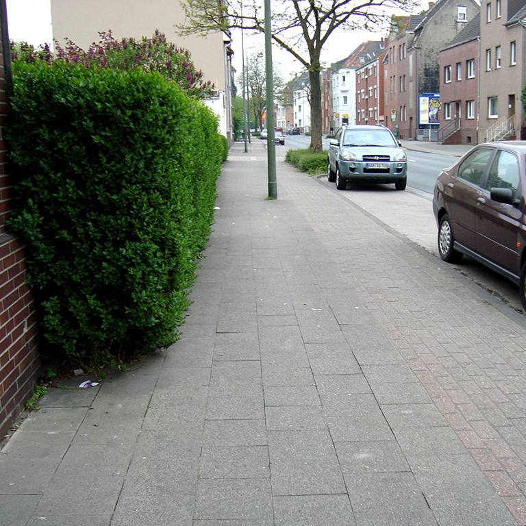 Eine Hecke ragt in den Gehweg.