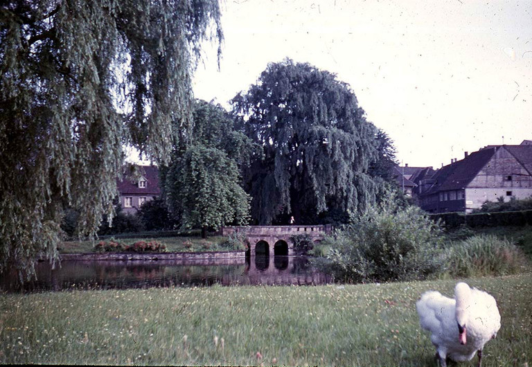 Nordring mit Blick auf die Steinbrücke und die Reste des Mühlenkolks um 1960