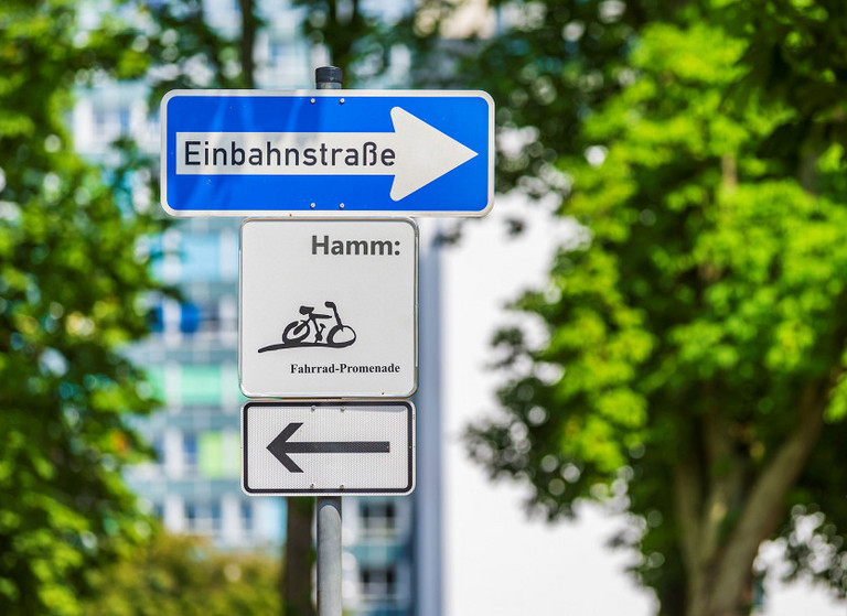 Schild Einbahnstraße mit Hinweise Fahrradpromenade