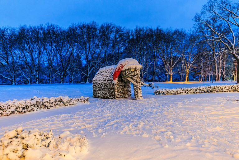 Winter im Kurpark