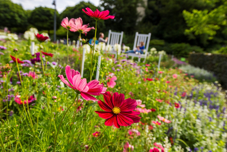 Sommer im Maximilianpark