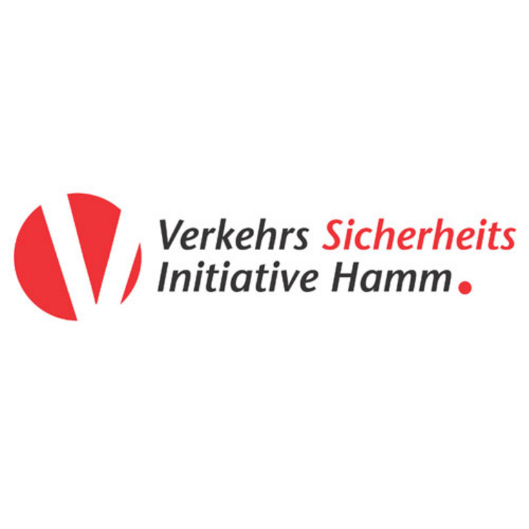 Logo VSI