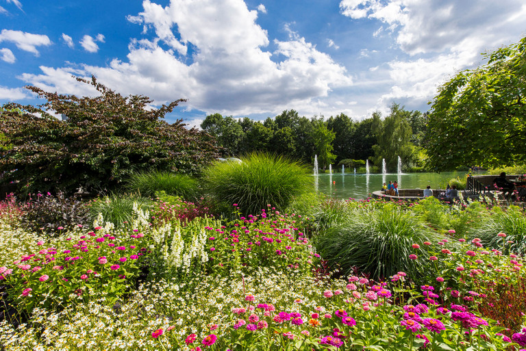 Sommer im Maximilianpark