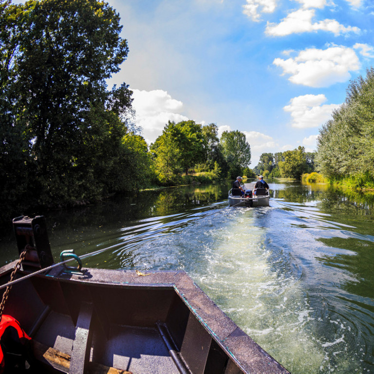 Lippe und Auenlandschaft vom Fluss aus