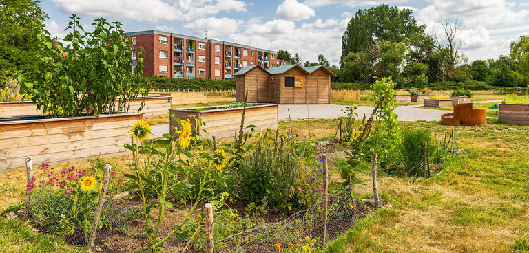 Das Bild zeigt den urbanen Garten in der Kornmersch