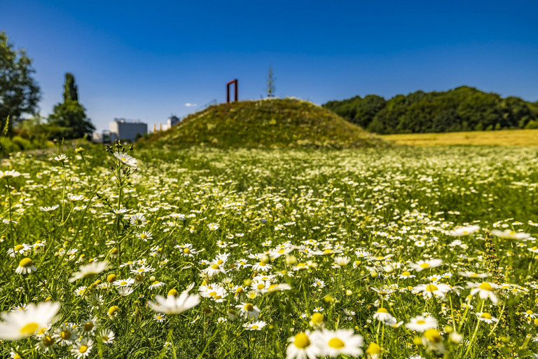 Das Bild zeigt den „Archäologischen Infopunkt“ in der Kornmersch.