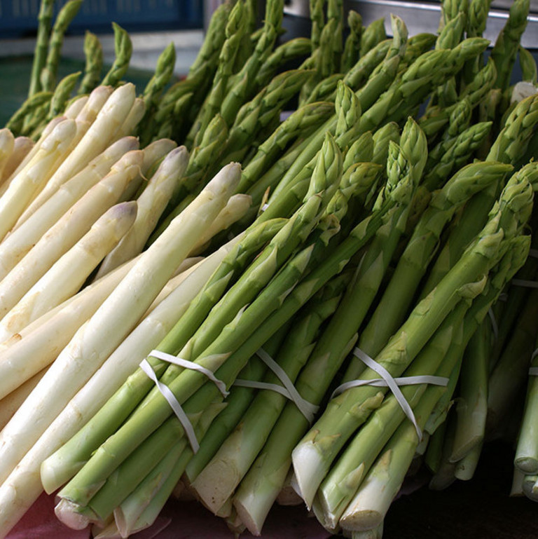 Spargel gebündelt