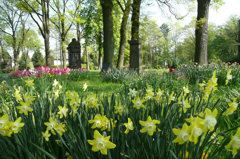 Frühling auf dem Friedhof